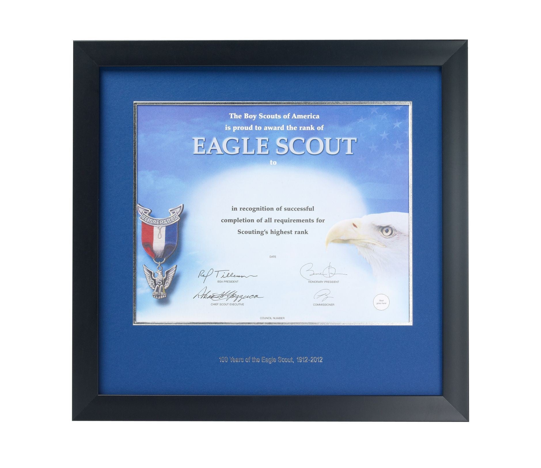Frame For Scouting Eagle Scout Award Frame